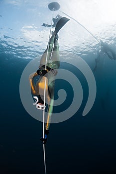 Woman freediver in the golden wetsuit descends along the rope