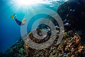 Woman freediver swims underwater