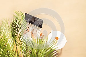 Woman freelancer with laptop holding glass of water with piece orange sitting under palm tree branches on the sand of beach.