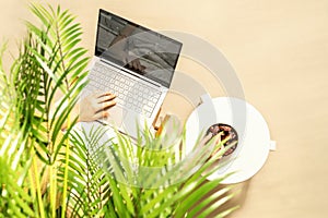 Woman freelancer with laptop sitting under coconut palm tree  branches. Female eating royal dates fruit from a bowl. Summer sand