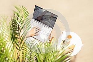 Woman freelancer with laptop sitting under palm tree branches. Sunscreen, sunglasses, orange juice on the table of sandy beach