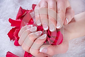 Woman with french nails polish manicure holding red rose petals in beauty salon