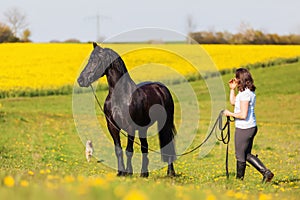 Woman with a Friesian horse on a field
