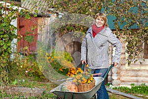 Woman in the garden harvests vegetables, fruits on the background of the house and trees