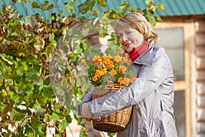 Woman in the garden harvests vegetables, fruits on the background of the house and trees