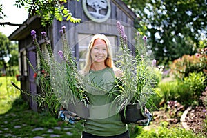 Woman in Garden with Purple Liatris Flowers in Pots