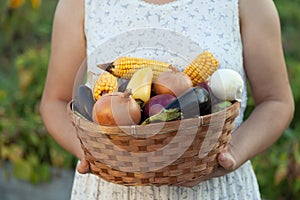 woman gardener with basket of fresh vegetables. person holds harvest from field. Organic shoot with natural garden