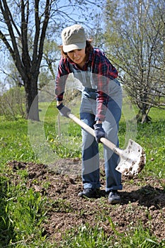 Woman gardener digging with shovel a ground bed in her spring garden