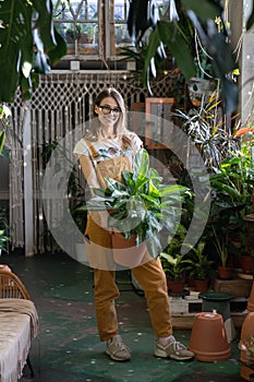 Woman gardener hold houseplant smiling. Freelancer girl florist in house garden, greenhouse or store