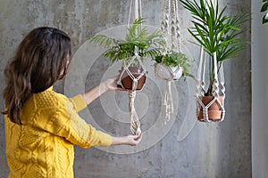 Woman gardener holding macrame plant hanger with houseplant over grey wall. Hobby, love of plants, home decoration