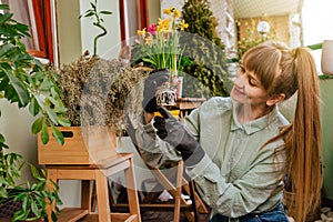 Woman Gardener Transplanting Plants at City Balcony