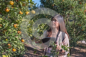 Woman gardener use modern technology in orange gardening business. New technology agriculture, environmen studying and researh