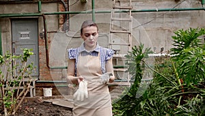 Woman gardener is walking in greenhouse satisfied with her work and putting off her gloves.