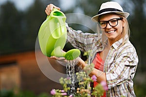 Woman gardener watering flowers blooming in her summer garden