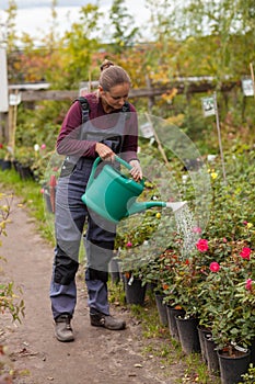 Woman gardener watering the flowers in the garden