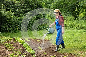 Woman gardener watering garden