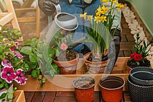 Woman Gardener Watering Plants in Urban Garden