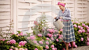 Woman gardener waters flowers with watering can. Woman watering flowers in a beautiful flower garden. Happy and smiling