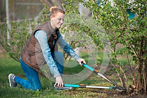 woman gardener working with hedge shear in the yard. Professional garden worker trimming branches. Gardening service and business
