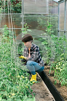 Woman gardener working inside greenhouse garden - Nursery and spring concept