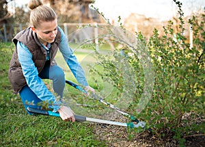 Woman gardener working in the spring garden and trimming branches
