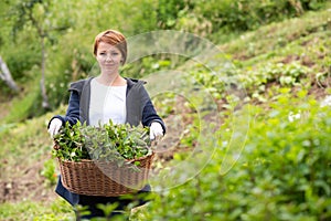 Woman gardening