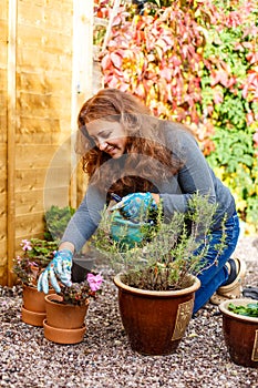 Woman gardening in the autumn