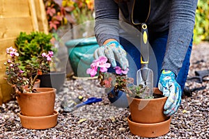 Woman gardening in the autumn