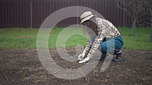 Woman gardening at dacha. Planting young sprout in spring