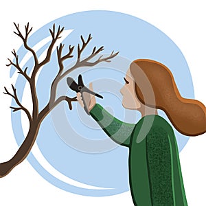 Woman gardening pruning tree