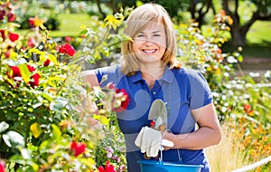 Woman gardening red roses and holding horticultural tools on sun