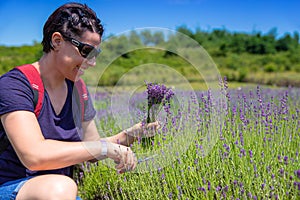 Una mujer reunir lavanda flores 