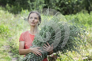 Woman is gathering healing plants and herbs Forest on background