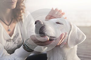 Sweet woman gently caresses her dog photo
