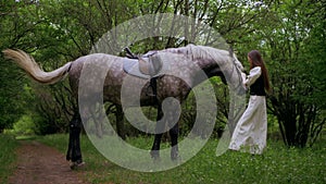 Woman gently petting horse in peaceful woodland setting. Serene moment as woman walks and bonds with horse among trees.