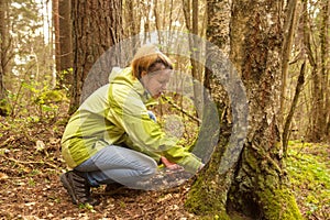 A woman geocaching. Women in woods find geocache container.