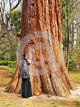 Žena a obrovský strom