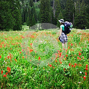 Woman Girl Backpacking with Wildflowers Taking Photograph