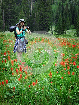 Woman Girl Backpacking with Wildflowers Taking Photograph photo