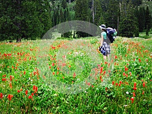 Woman Girl Backpacking with Wildflowers Taking Photograph photo