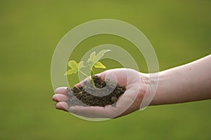 Woman girl female`s hand with a layer of earth, muddy soil with green plants in it, hope health concept, over grass meadow field