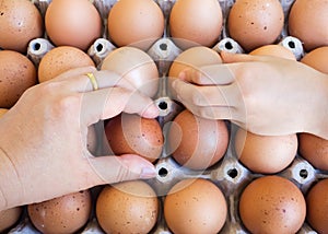 Woman and girl hand picking egg from egg tray. Concept of food i