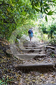 Woman or girl is hiking trail Walking path, Cape Town