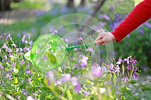 A woman girl hold green net pocket to catch insects purple flower in summer spring park outdoor at a sunny day capture Butterfly