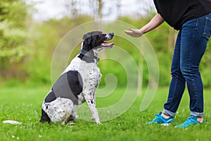 Woman gives a command to her dog