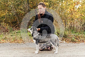 Woman gives a command to her dog puppy Siberian Husky in the autumn park. Dog training