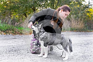 Woman gives a command to her dog puppy Siberian Husky in the autumn park. Dog training and obedience