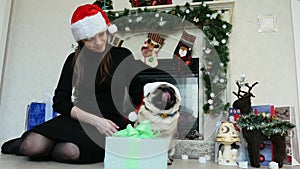 Woman gives a gift to funny pug dog in christmas costume, dressed in Santa Claus hats, New Year and Christmas