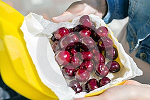 Woman giving lunchbox with fresh ripe tasty cherries. Girls hand holding box with organic sweet berries. Healthy food and vitamin