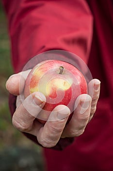 Woman giving a red apple